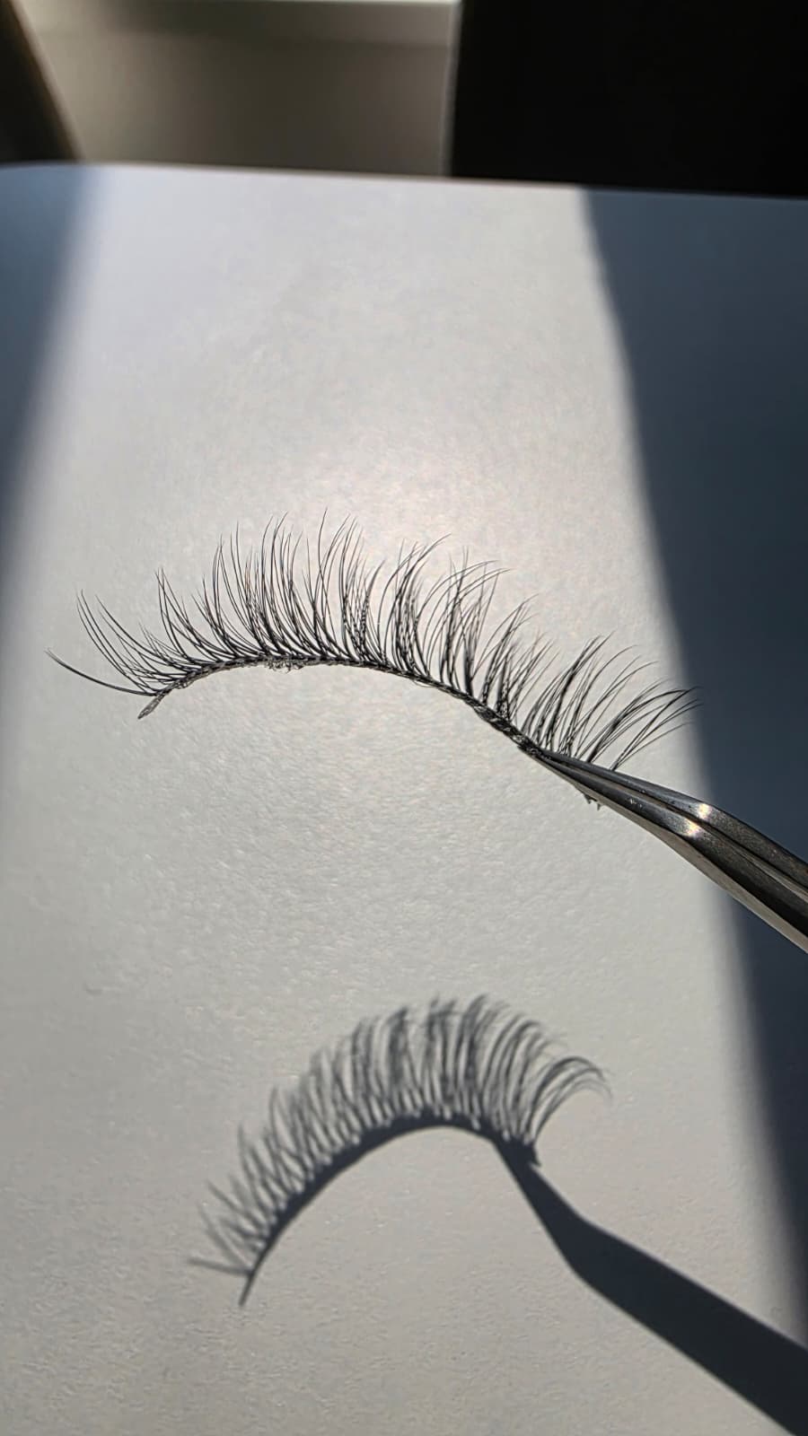 Real Y2015 lash tray — single lash detail