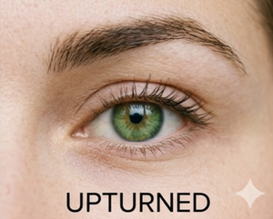 Upturned Eyes<a href="/collections/natural-everyday" target="_blank" title="Natural Everyday">/collections/natural-everyday</a>
